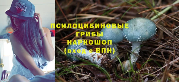 гашик Баксан