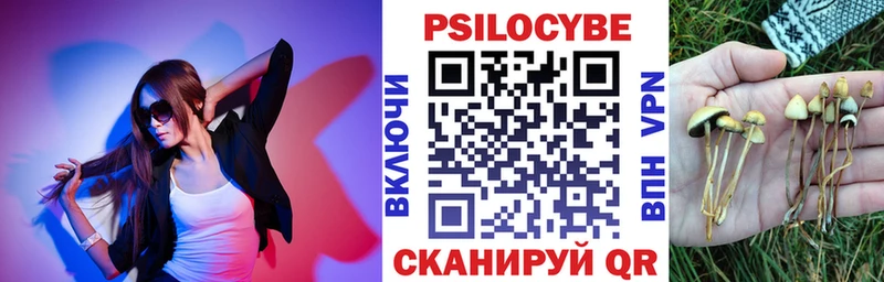 сайты даркнета телеграм  Шарья  Галлюциногенные грибы ЛСД 