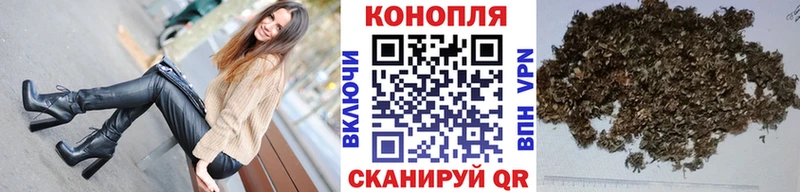 Марихуана планчик  купить   блэк спрут сайт  Шарья 